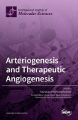 Arteriogenesis and Therapeutic Angiogenesis Arteriogenesis and Therapeutic Angiogenesis