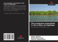 The mangrove ecosystem in the Cuban archipelago