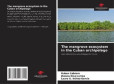 The mangrove ecosystem in the Cuban archipelago The mangrove ecosystem in the Cuban archipelago