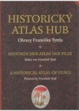 Historický atlas hub