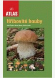Hřibovité houby