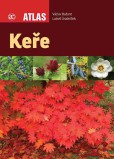 Keře Keře