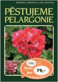 Pěstujeme pelargonie Pěstujeme pelargonie