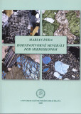 Horninotvorné minerály pod mikroskopom Horninotvorné minerály pod mikroskopom