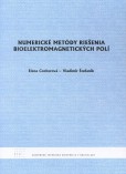 Numerické metódy riešenia bioelektromagnetických polí Numerické metódy riešenia bioelektromagnetických polí