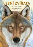 Lesní zvířata v životní velikosti Lesní zvířata v životní velikosti