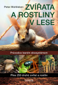 Zvířata a rostliny v lese Zvířata a rostliny v lese