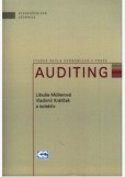 Auditing Auditing