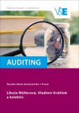 Auditing Auditing