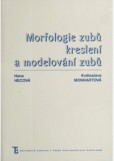 Morfologie zubů