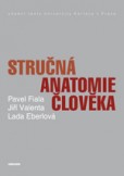 Stručná anatomie člověka Stručná anatomie člověka