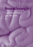 Neurochirurgie Neurochirurgie