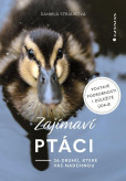 Zajímaví ptáci - 36 druhů, které vás ohromí Zajímaví ptáci - 36 druhů, které vás ohromí