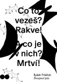 Škrapové pole Škrapové pole