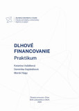 Dlhové financovanie. Praktikum Dlhové financovanie. Praktikum
