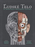 Ľudské telo Ľudské telo