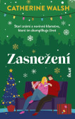 Zasnežení Zasnežení