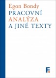 Pracovní analýza Pracovní analýza