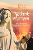 Na krok od priepasti Na krok od priepasti