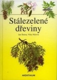 Stálezelené dřeviny Stálezelené dřeviny