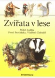 Zvířata v lese Zvířata v lese