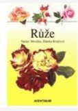 Růže Růže