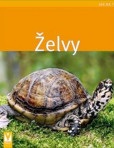 Želvy - Jak na to Želvy - Jak na to