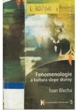Fenomenologie a kultura slepé skvrny Fenomenologie a kultura slepé skvrny