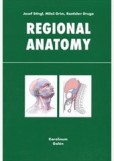 Regional anatomy Regional anatomy