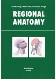 Regional anatomy