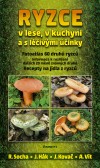 Ryzce – v lese, v kuchyni a s léčivými účinky Ryzce – v lese, v kuchyni a s léčivými účinky
