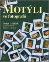 Motýli ve fotografii Motýli ve fotografii