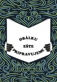 Revizní operace totálních náhrad kolenního kloubu