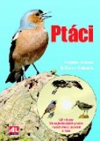 Ptáci + CD s hlasy 96 nejběžnějších ptáků našich měst, zahrad a lesů