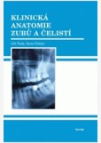Klinická anatomie zubů a čelistí