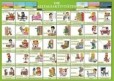 Karta Die Alltagsaktivitäten Karta Die Alltagsaktivitäten