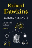 Záblesk v temnotě Záblesk v temnotě