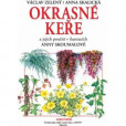 Okrasné keře a jejich použití Okrasné keře a jejich použití