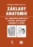 Základy anatomie. 4b. Periferní nervový systém, smyslové orgány a kůže Základy anatomie. 4b. Periferní nervový systém, smyslové orgány a kůže