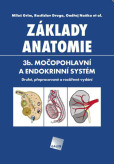 Základy anatomie. 3b. Močopohlavní a endokrinní systém - Druhé, přepracované a rozšířené vydání
