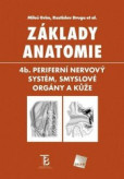 Základy anatomie 4b. Základy anatomie 4b.