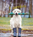 365 důvodů k úsměvu 365 důvodů k úsměvu