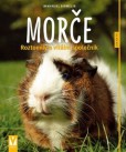 Morče Morče