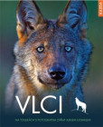 Vlci Vlci
