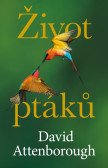 Život ptáků Život ptáků