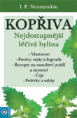 Kopřiva - Nejdostupnější léčivá bylina Kopřiva - Nejdostupnější léčivá bylina