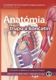Anatómia trupu a končatín Anatómia trupu a končatín