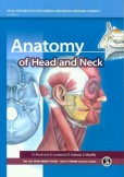 Anatomy of Head and Neck Anatomy of Head and Neck