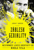 Záblesk geniality Záblesk geniality