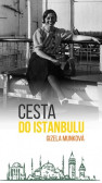 Cesta do Istanbulu Cesta do Istanbulu